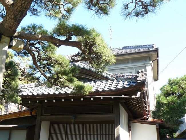 �k�����������ٕʊفi�V���s�j