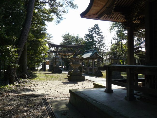 �����z�K�_��