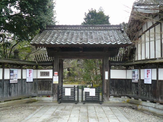 ������ƏZ��