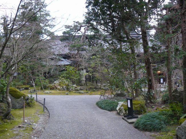 ������ƏZ��