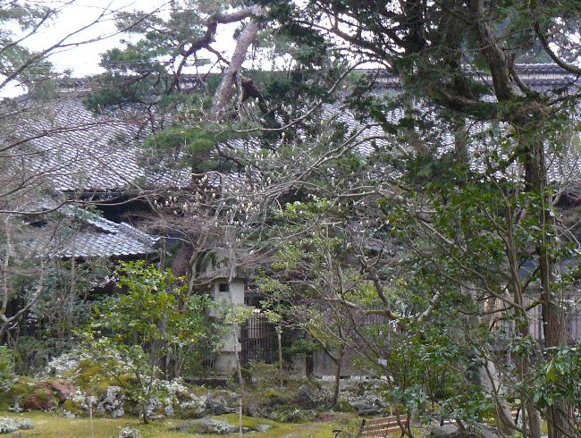 ������ƏZ��