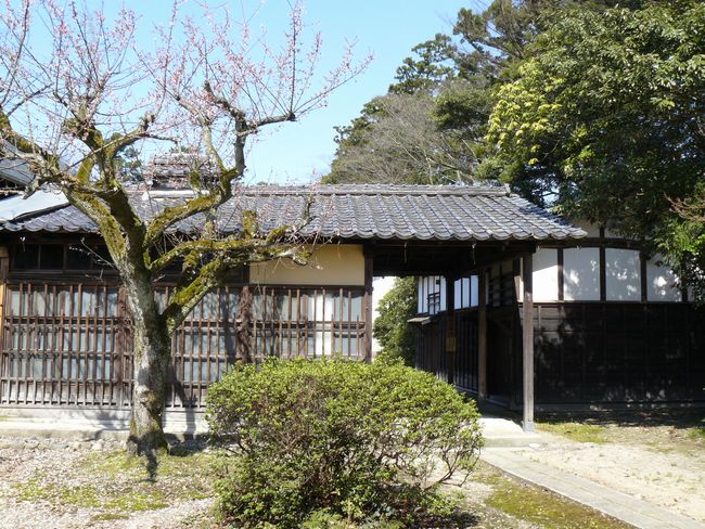 ������ƏZ��