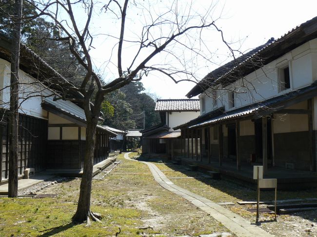 ������ƏZ��