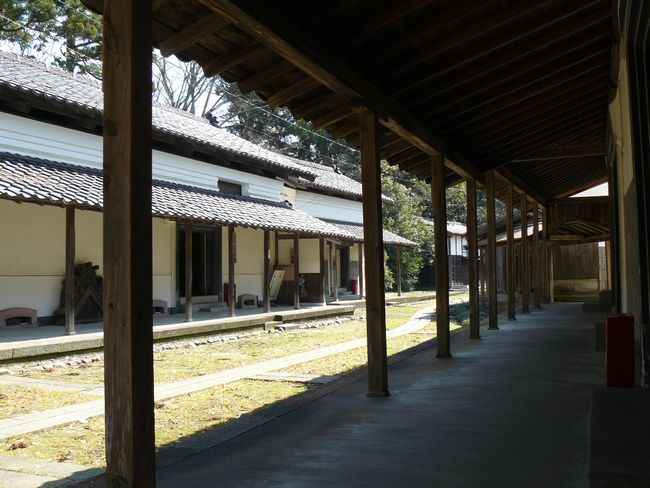 ������ƏZ��