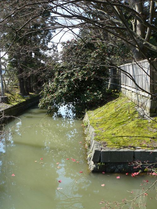 �V���s�E������ƏZ��