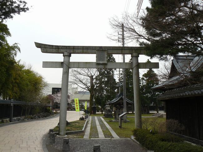 ��C���}�_��