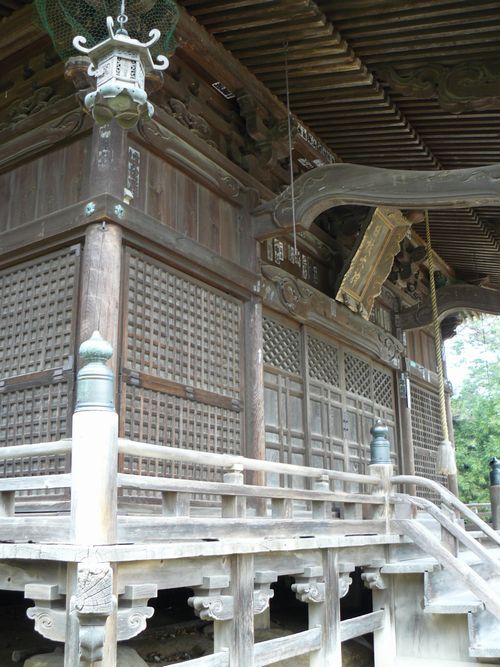 �V���s�E��C���}�_��