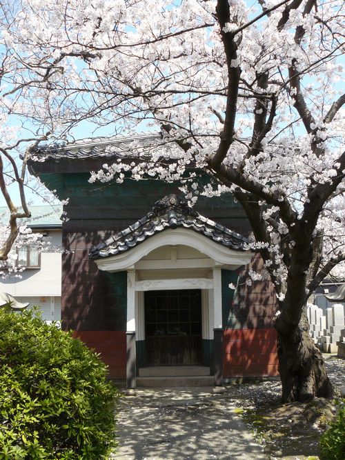 �V���s�E���y��