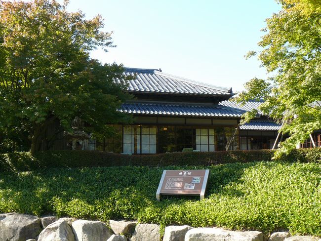 ����فi�V���s�j