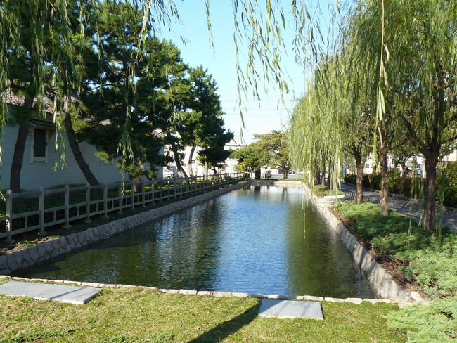 ���V���Ŋ֒���