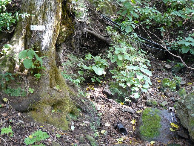 ���I�R�ω���