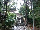 五十嵐神社苔生した石段と並木