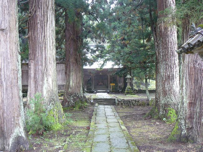 �����_��