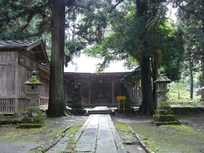 �����_��