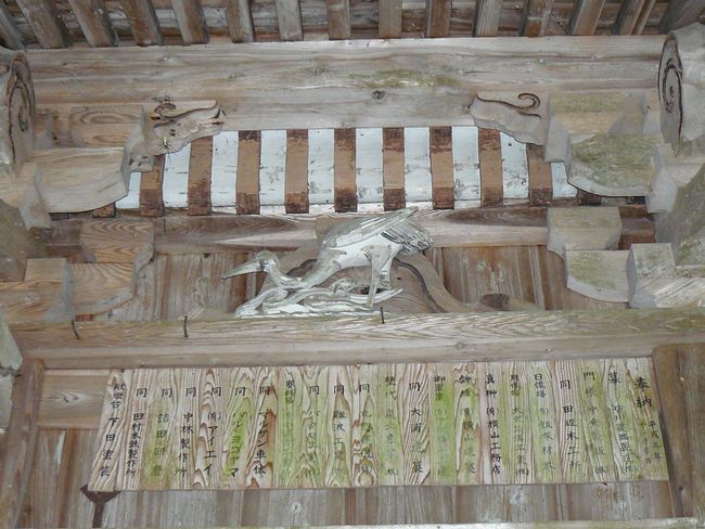 �����_��