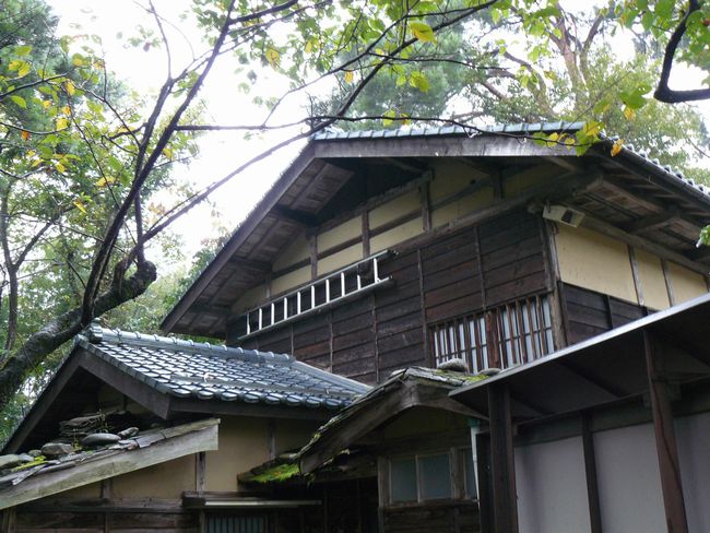 �����Q���Ɓi�O���s�j