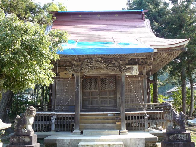 ���z���_��