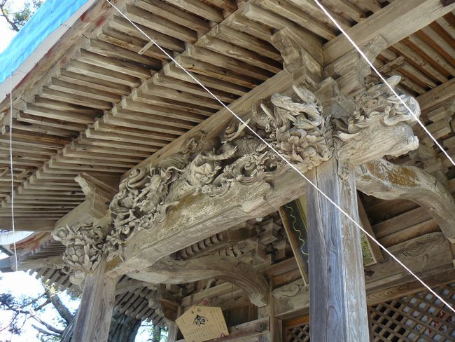 ���z���_��