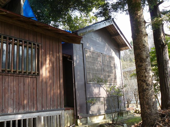 ���z���_��