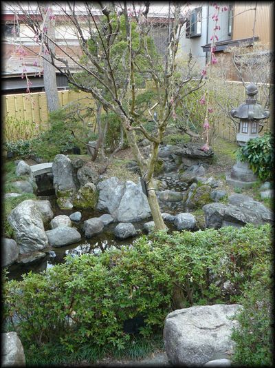 �琴�Z����