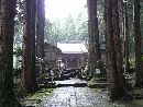 八木神社参道と雰囲気のある杉並木の大木