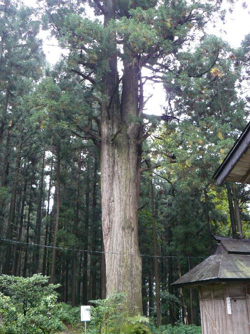 ���ؐ_�Ёi�O���s�j