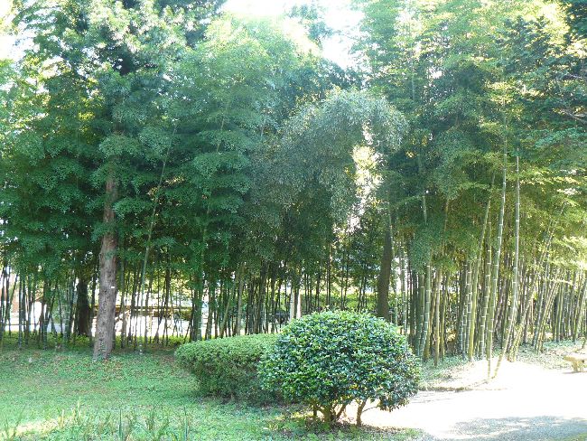 �n�ӉƐV��뉀