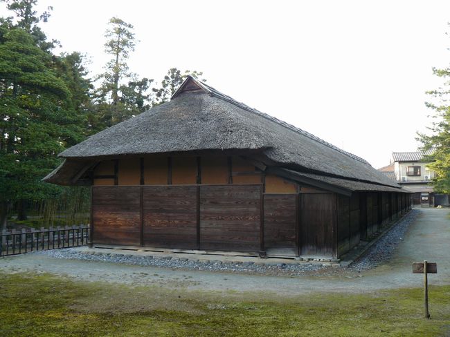 �����y����