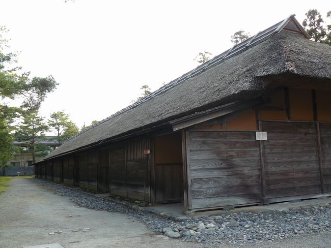 �����y����