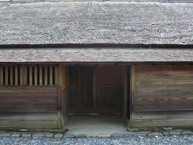 �����y����