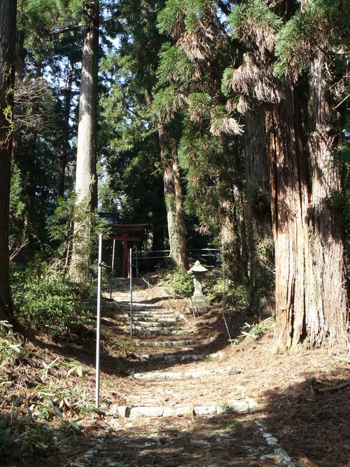 �V���c�s�E���ː_��