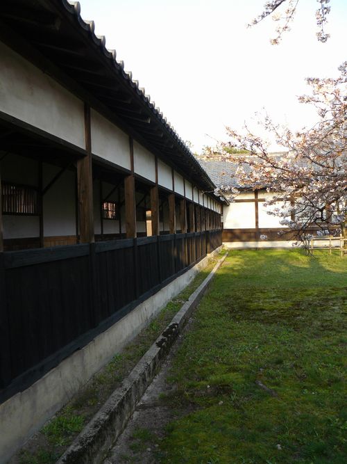 ������i�V���c�s�j