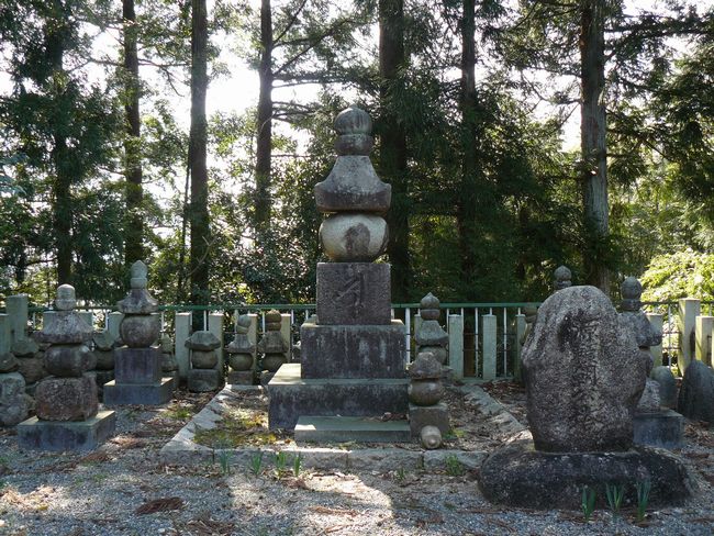 �@���������