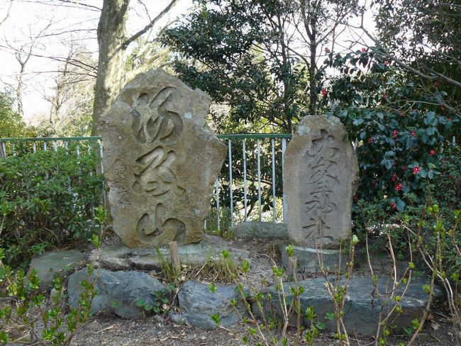 �@���������