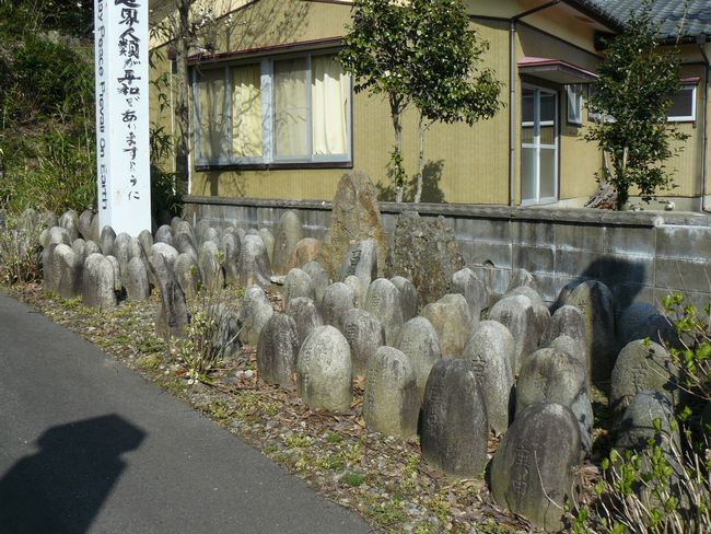 �@���������