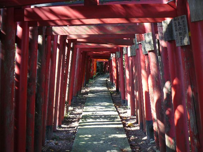 ��F��א_�Љ��̉@