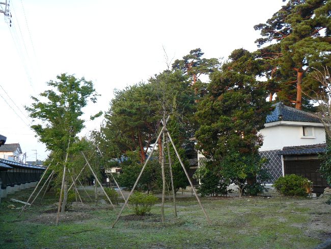 �s���ƏZ��