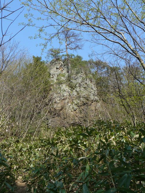 �V���c�s�E�Έ�_��