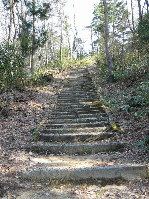 �V���c�s�E�Îl���_��