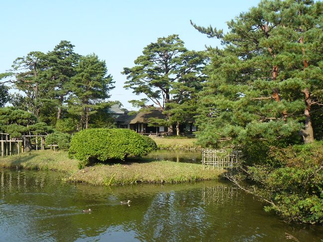 �܏\����䒃��