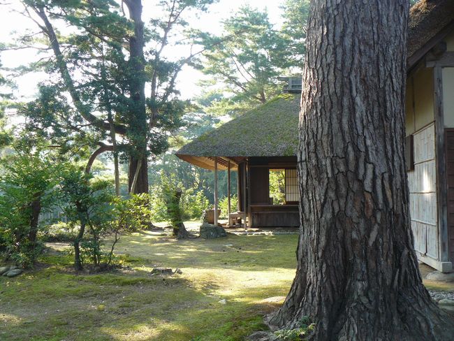 �܏\����䒃��