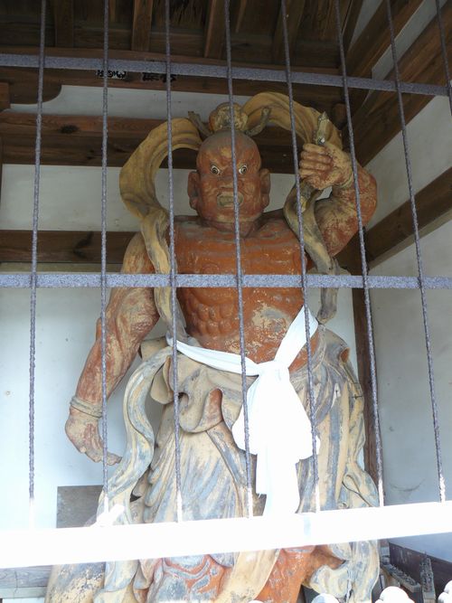 �V���c�s�E�����