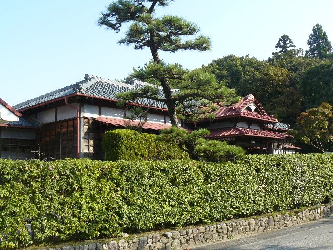 �����m������