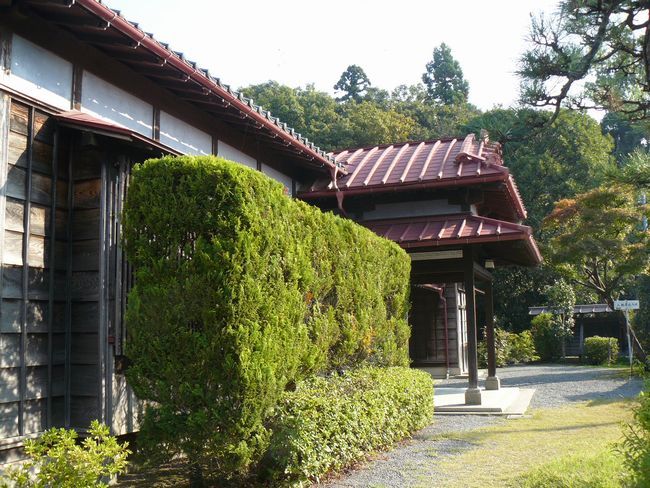 �����m������