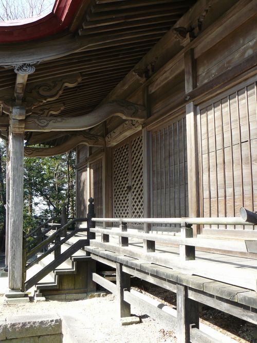 �V���c�s�E�L�c�_�Дq�a���ʊO��