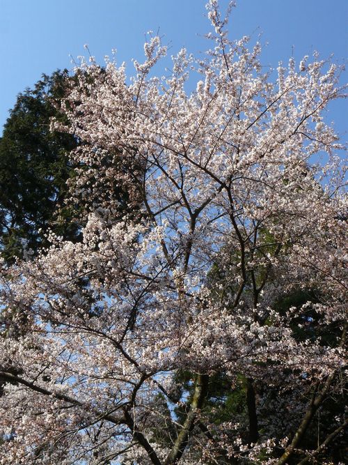 �c�㒬�E�y���c�_��