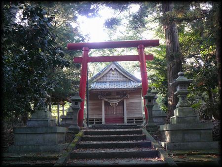 �����_��