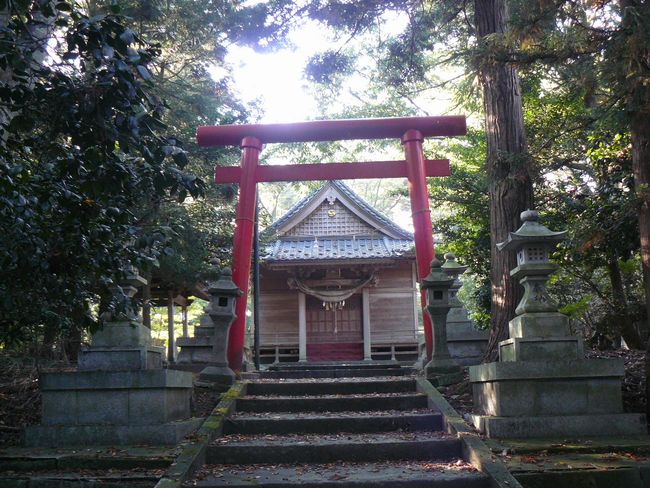 �����_��