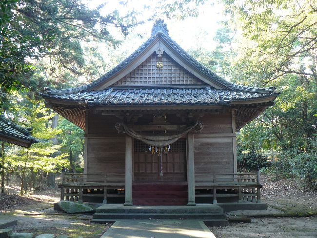 �����_��