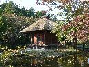 村上家と縁がある乙宝寺参道脇の池の島に建立されている弁天堂
